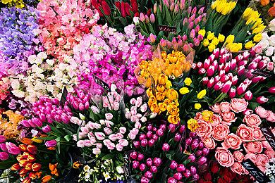 经典手游《点阵僵尸》登陆全平台 追加多项新要素